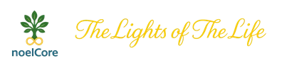 noelCore — The Lights of The Life