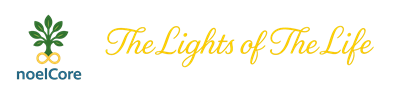 noelCore logo