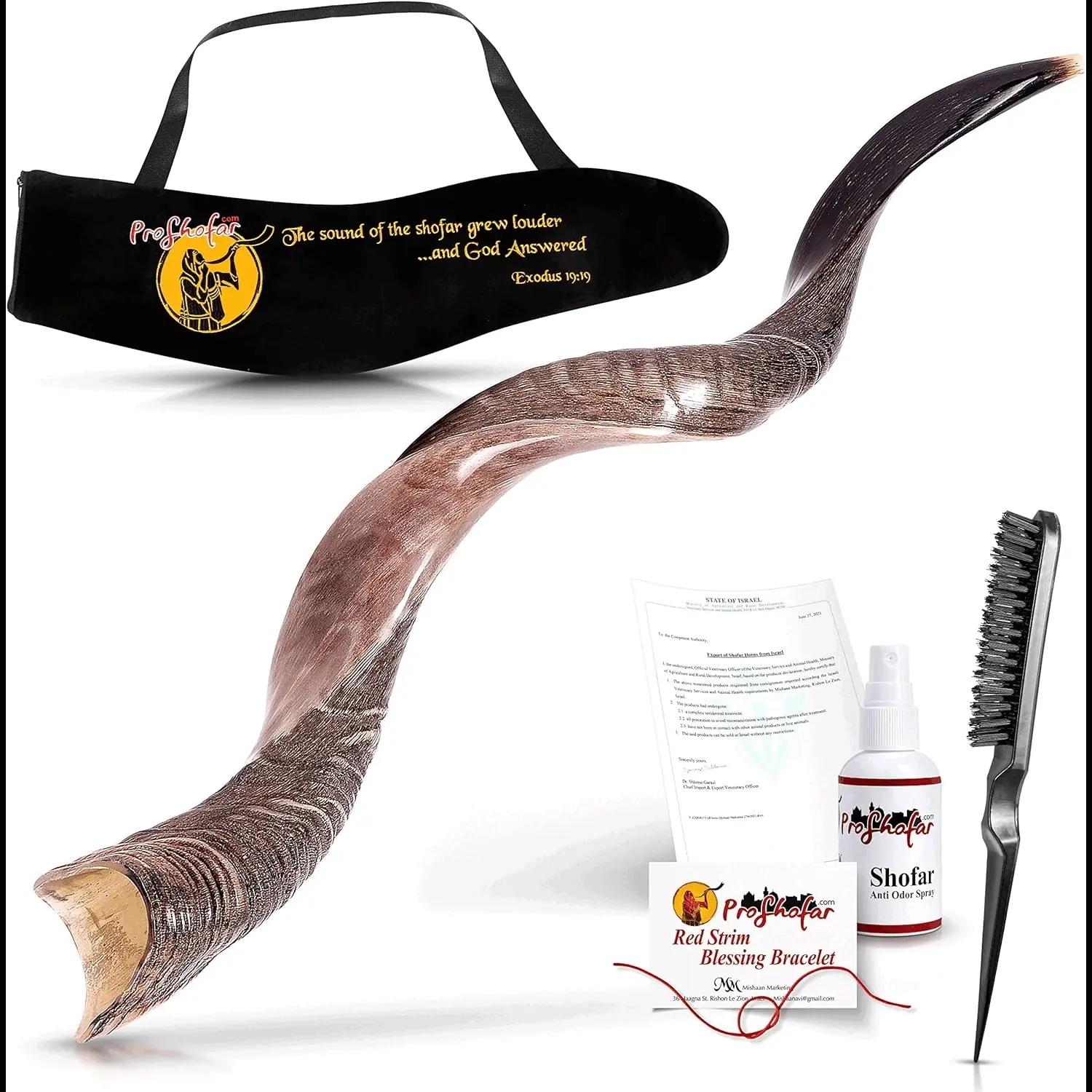 Kudu Shofar — A Timeless Instrument of Faith and Heritage